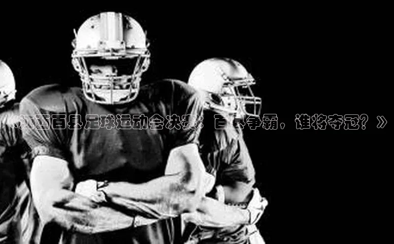 28圈.ccmpc颐驰 06《江西百县足球运动会决赛：百县争霸，谁将夺冠？》