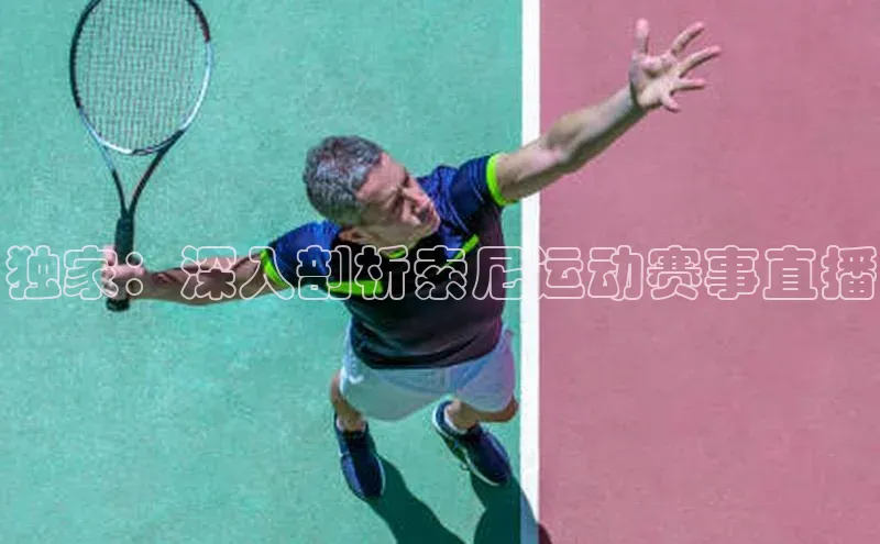 28圈平台官网版下载蓝色光标独家：深入剖析索尼运动赛事直播