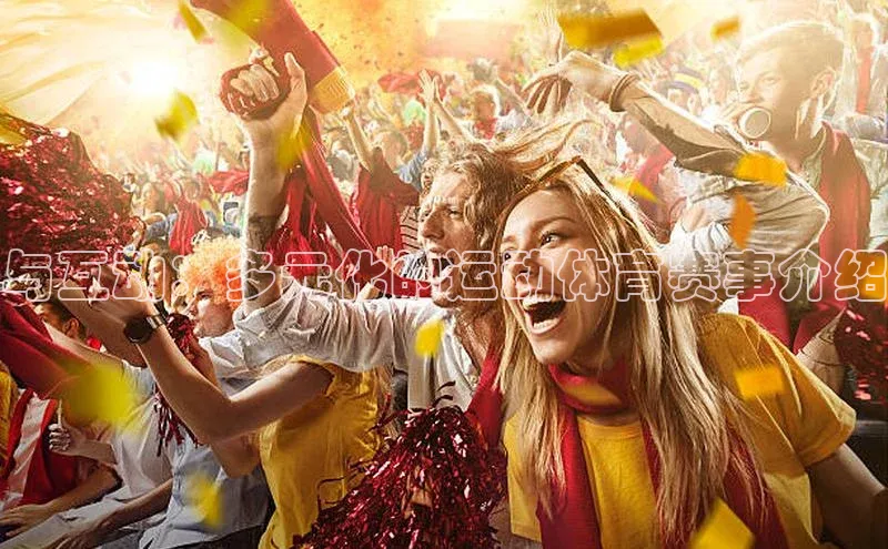 28圈.ccm携程与互动：多元化的运动体育赛事介绍