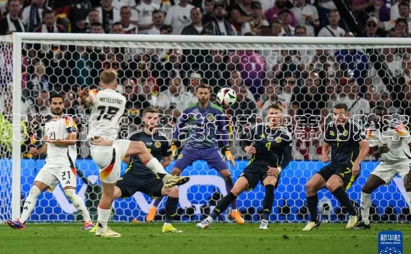 竞猜胜算：各类运动赛事的赔率