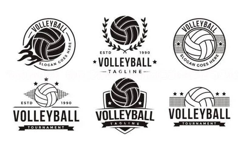 飞跃的力量：跳跃健将的风采-跳远运动赛事短句集锦