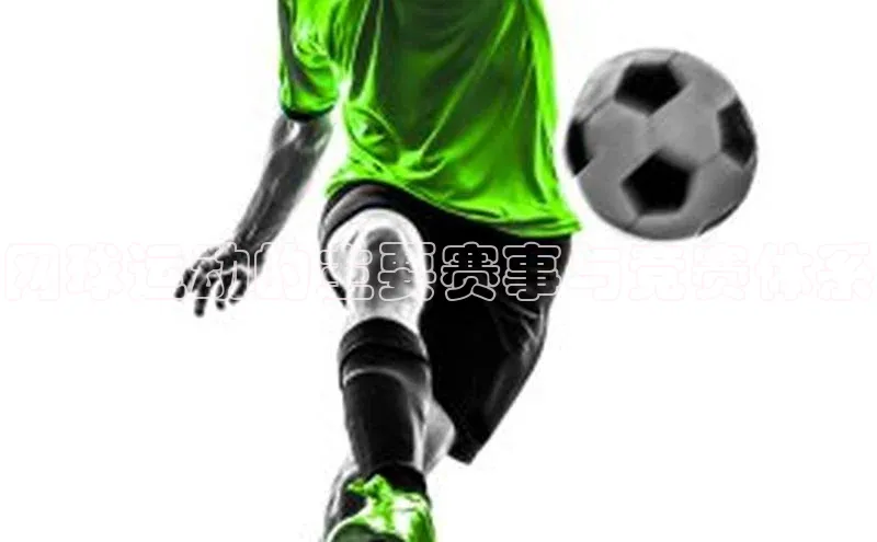 网球运动的主要赛事与竞赛体系