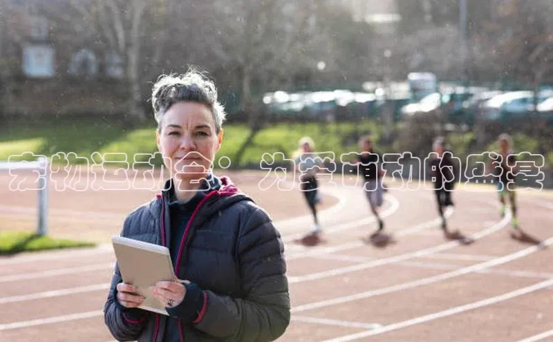 宠物运动会：为爱萌动的盛宴
