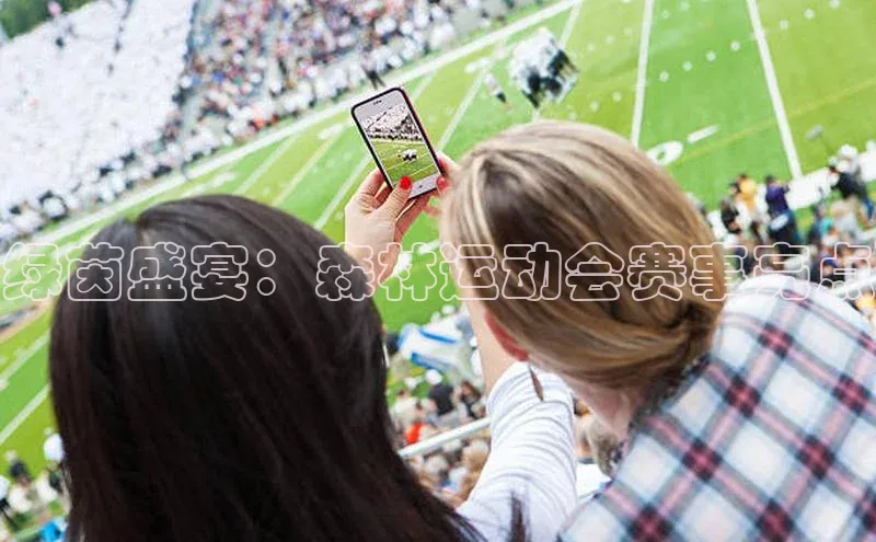 绿茵盛宴：森林运动会赛事亮点