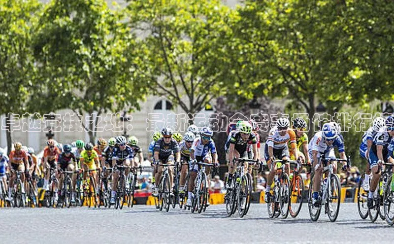 卓越竞技之地：最新运动会赛事场馆排行榜