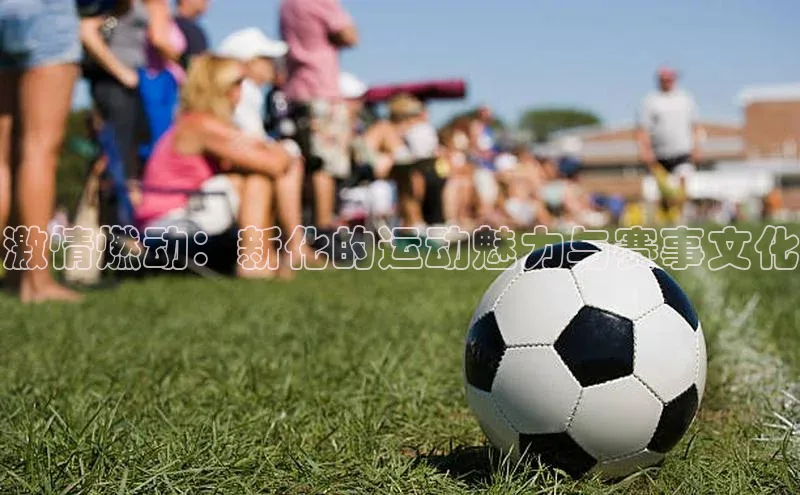 激情燃动：新化的运动魅力与赛事文化