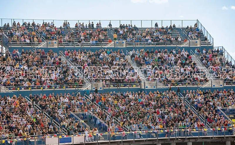 绿动中原：郑州运动赛事的活力与魅力