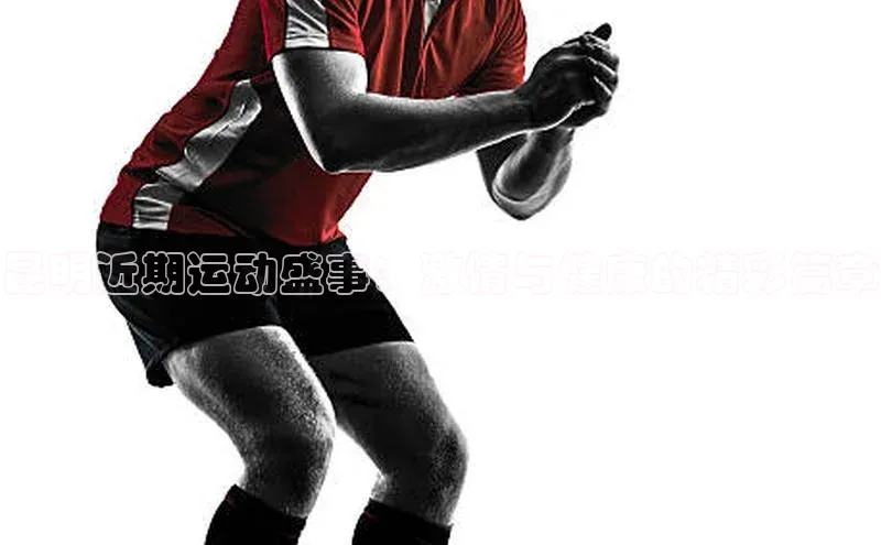 昆明近期运动盛事：激情与健康的精彩篇章