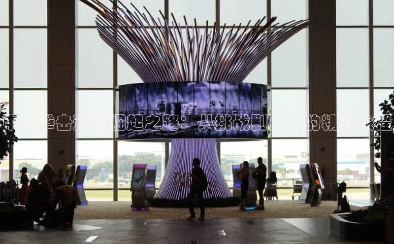 中国拳击运动崛起之路：从挑战到冠军的精彩旅程