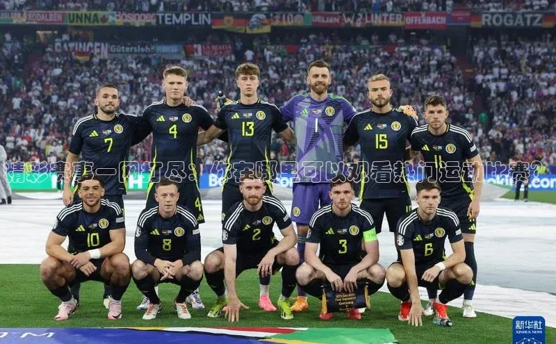 精彩赛事一网打尽：你在哪里可以观看热门运动比赛？