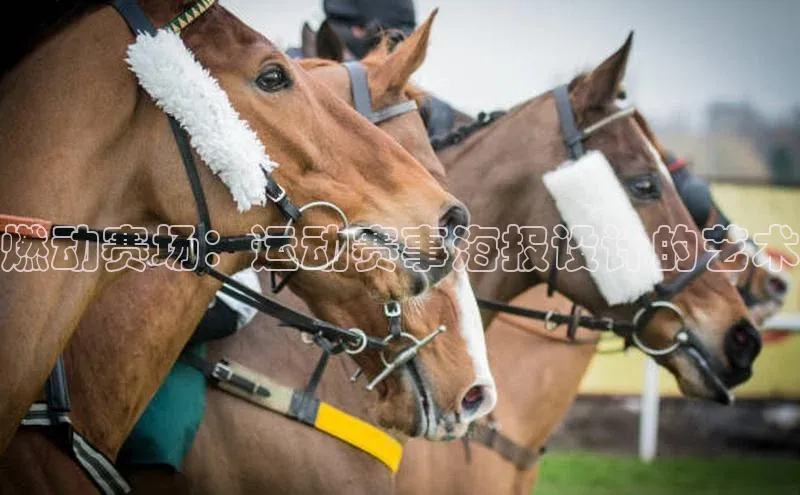 燃动赛场：运动赛事海报设计的艺术