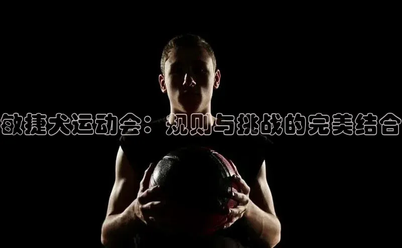 敏捷犬运动会：规则与挑战的完美结合